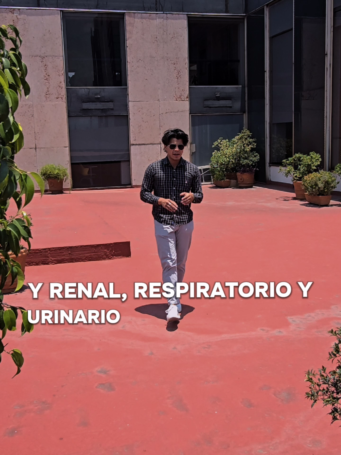 @Domino Asesores