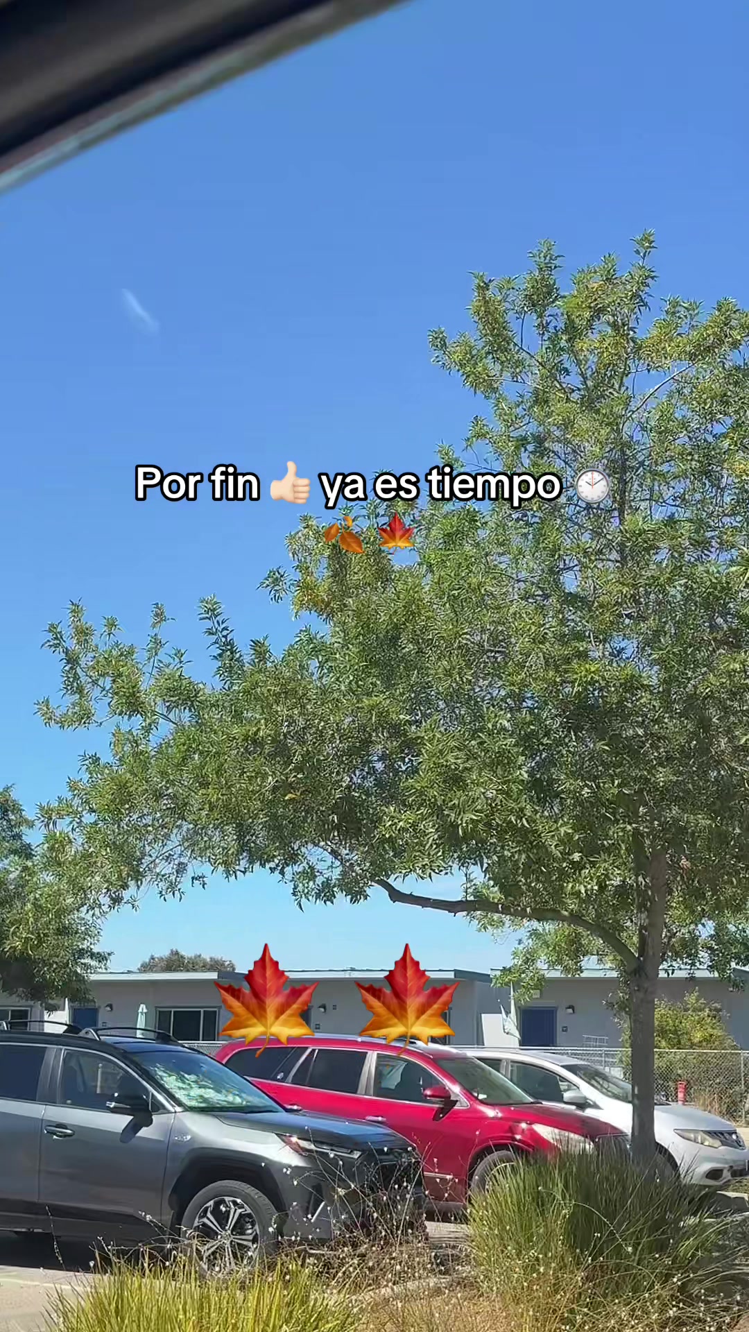 @Yesi. López .🍀🥰🙏