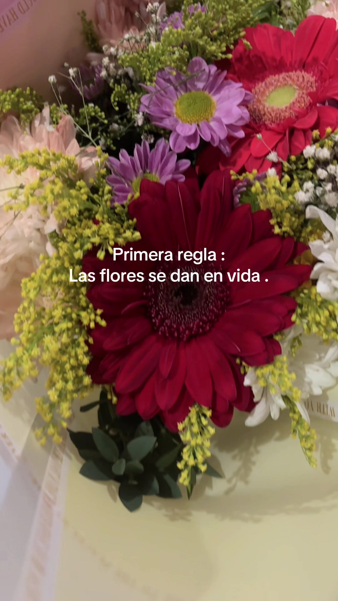 @🦋Loore Vazquez🦋