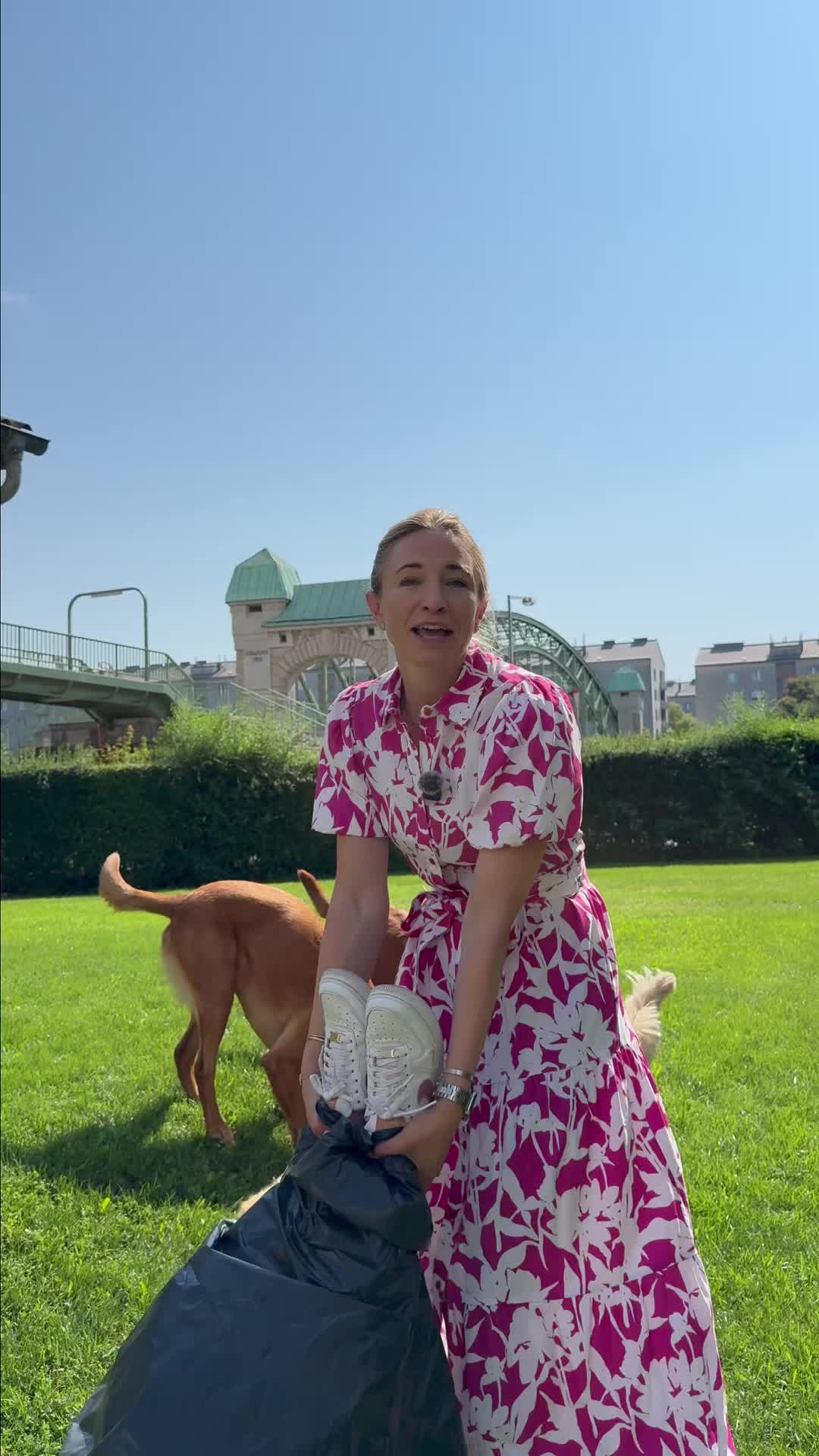 @wow.pet