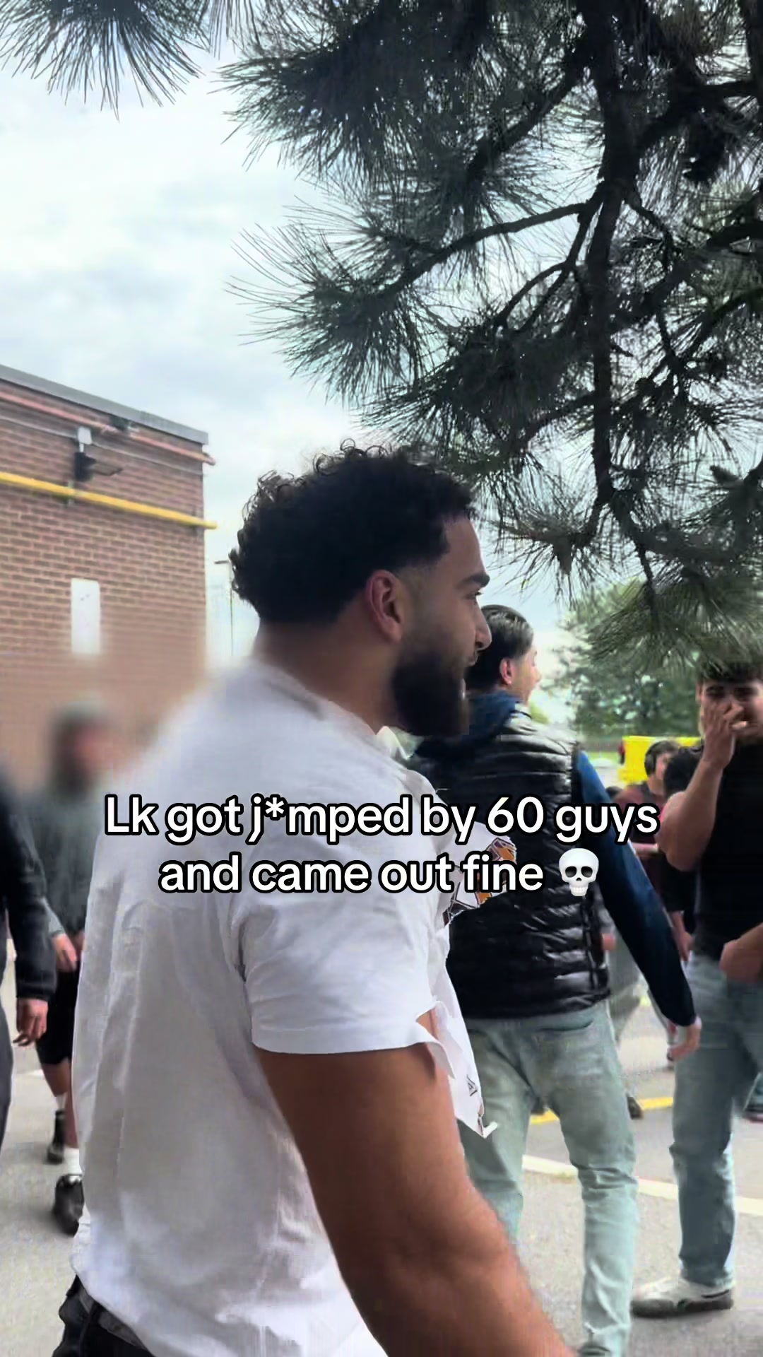 @Lk 🦍