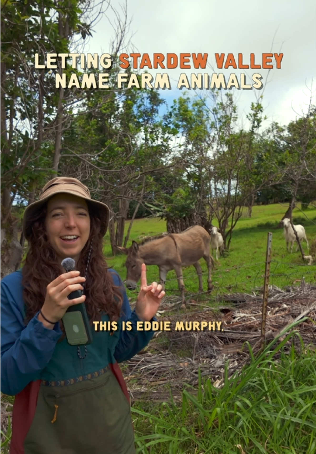 @Sarah 🌱 | Corporate to Farm