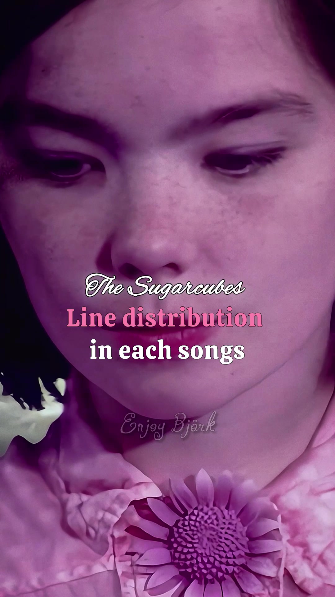 @Enjoy Bj&ouml;rk