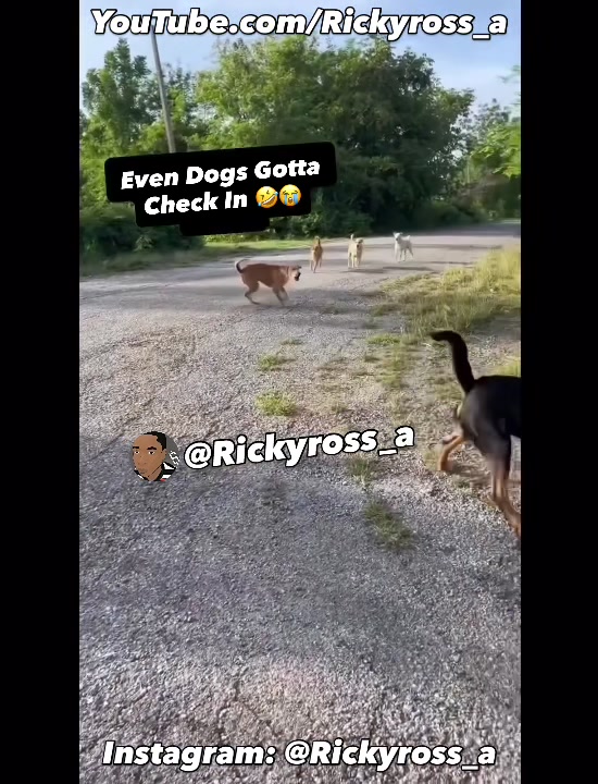 @Rickyross_a