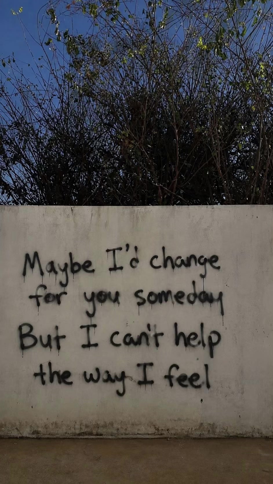 @Maggie Americano