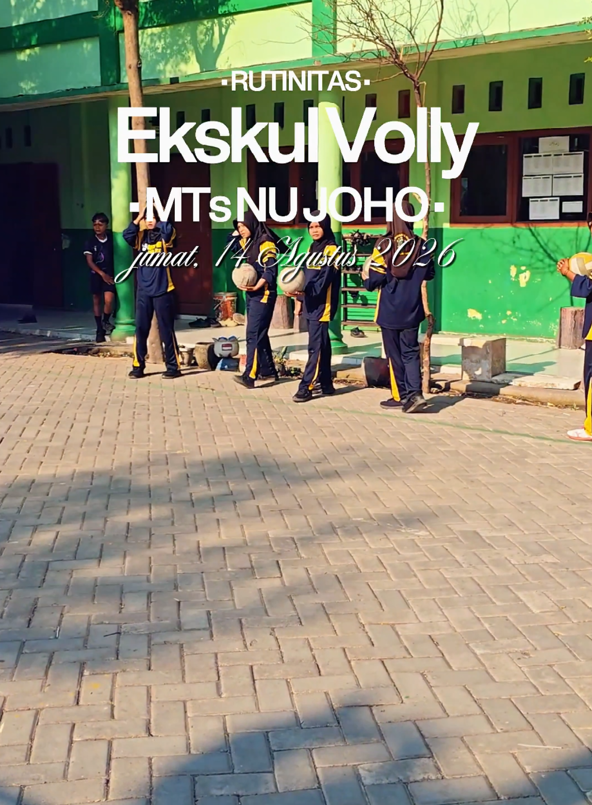 @mtsnujoho