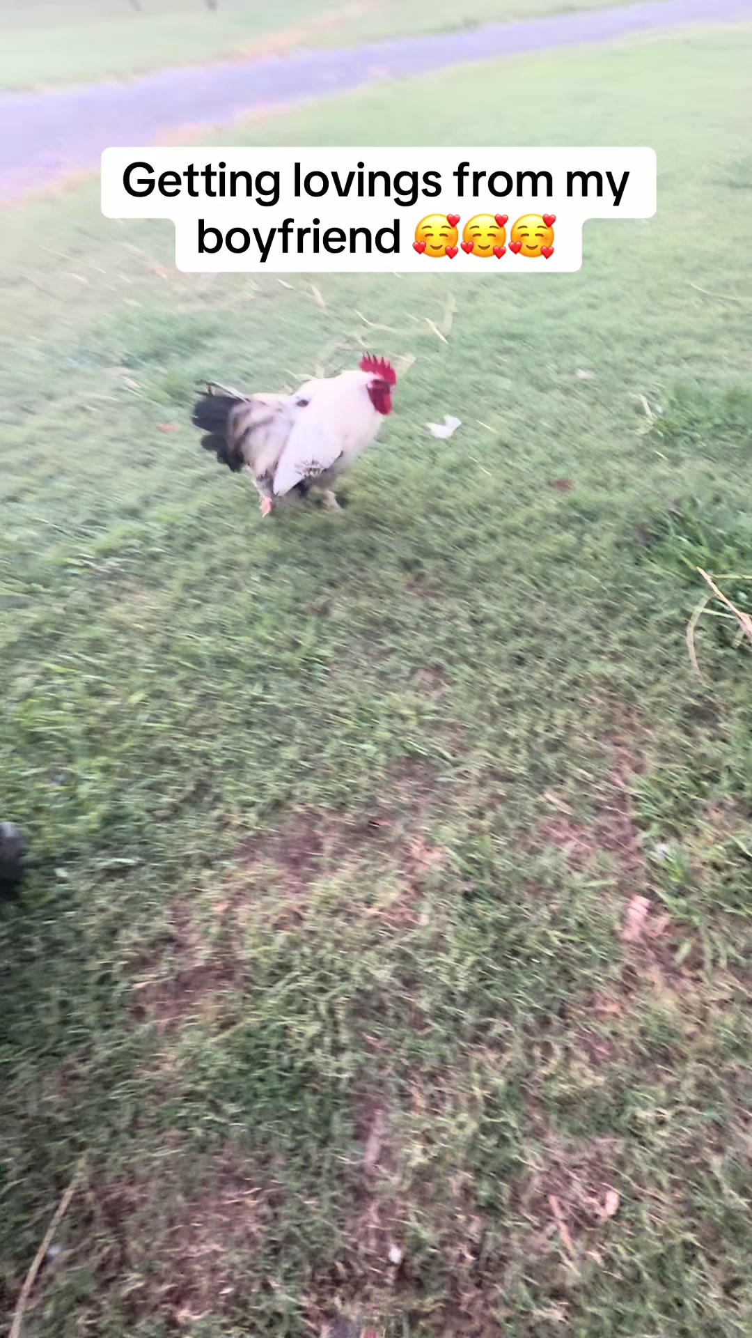 @NonniesFunnyFarm