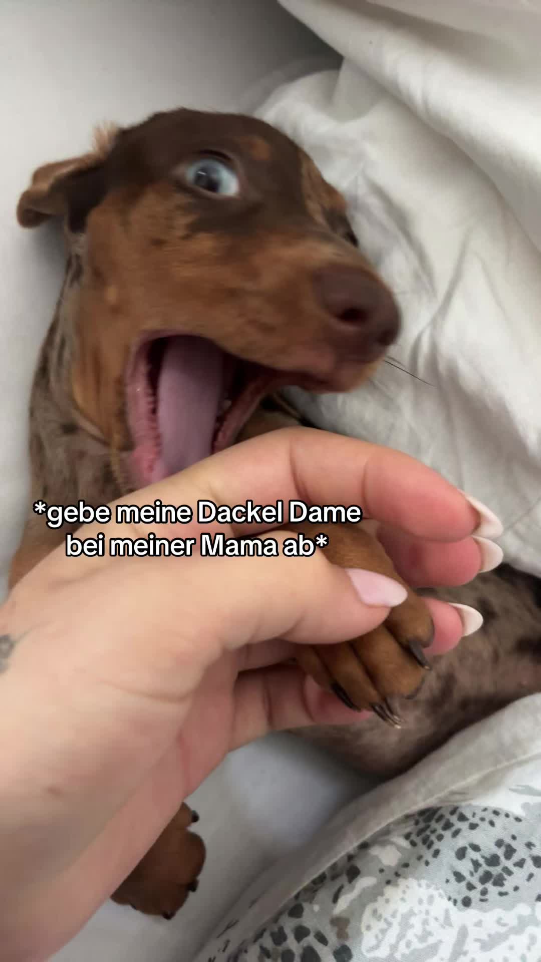 @💕