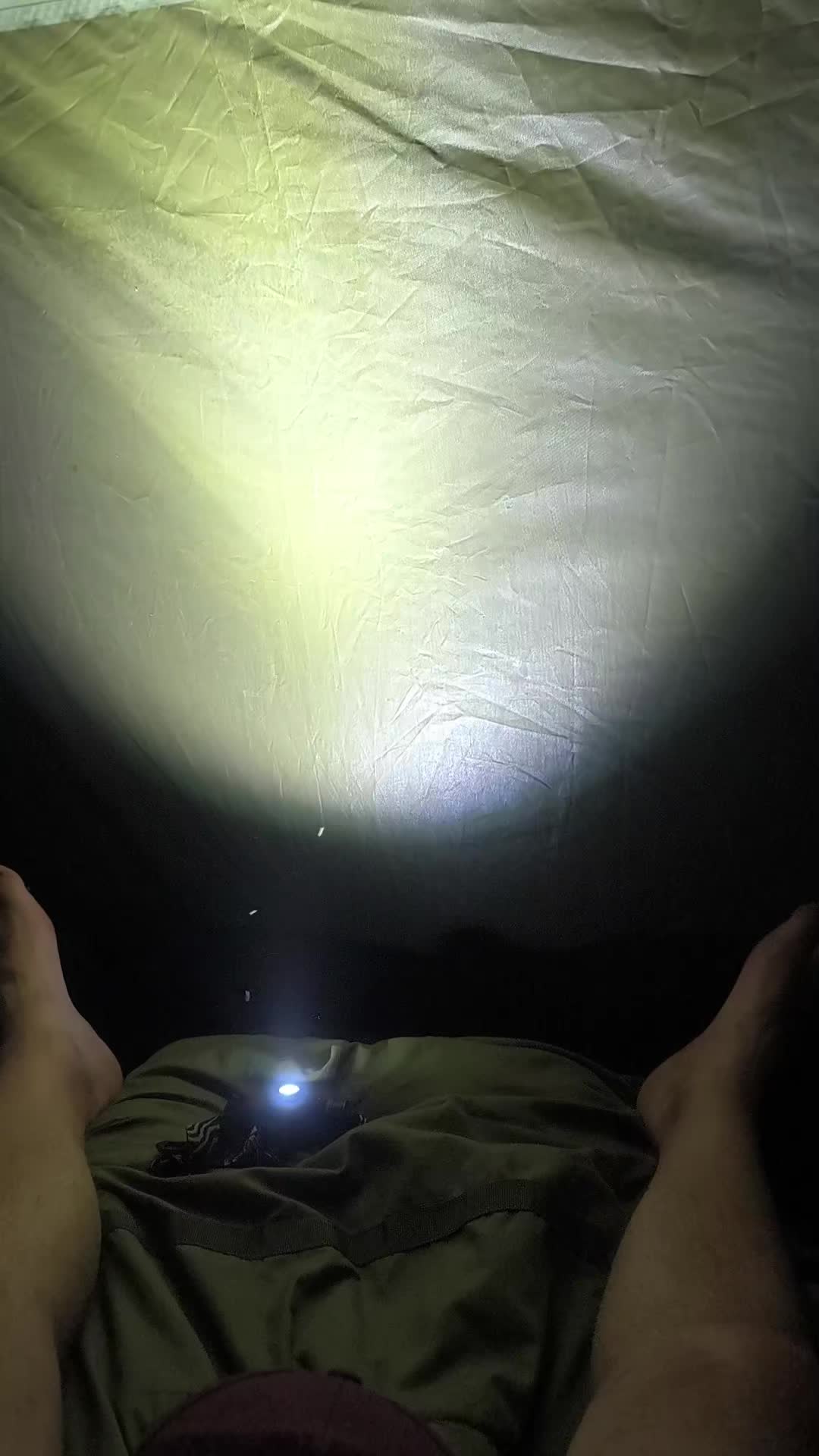 @Jocarpfishing
