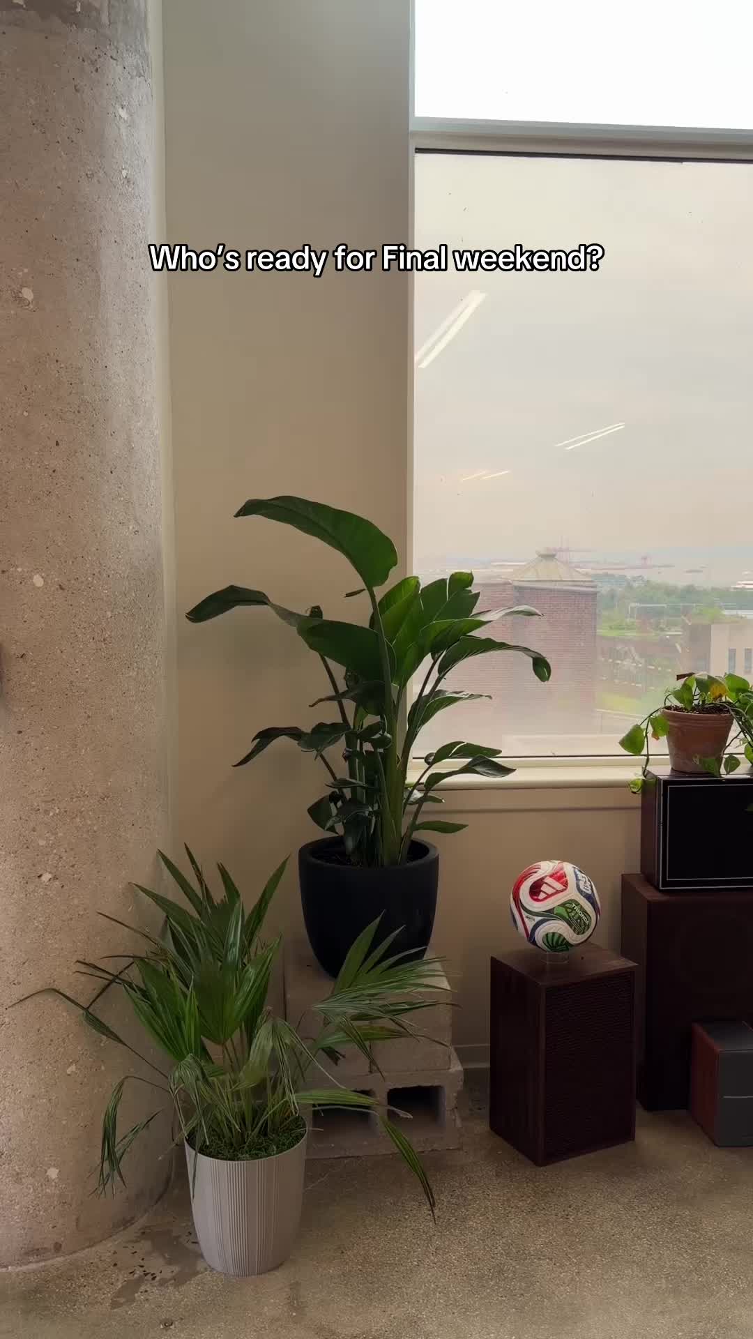 @trionda