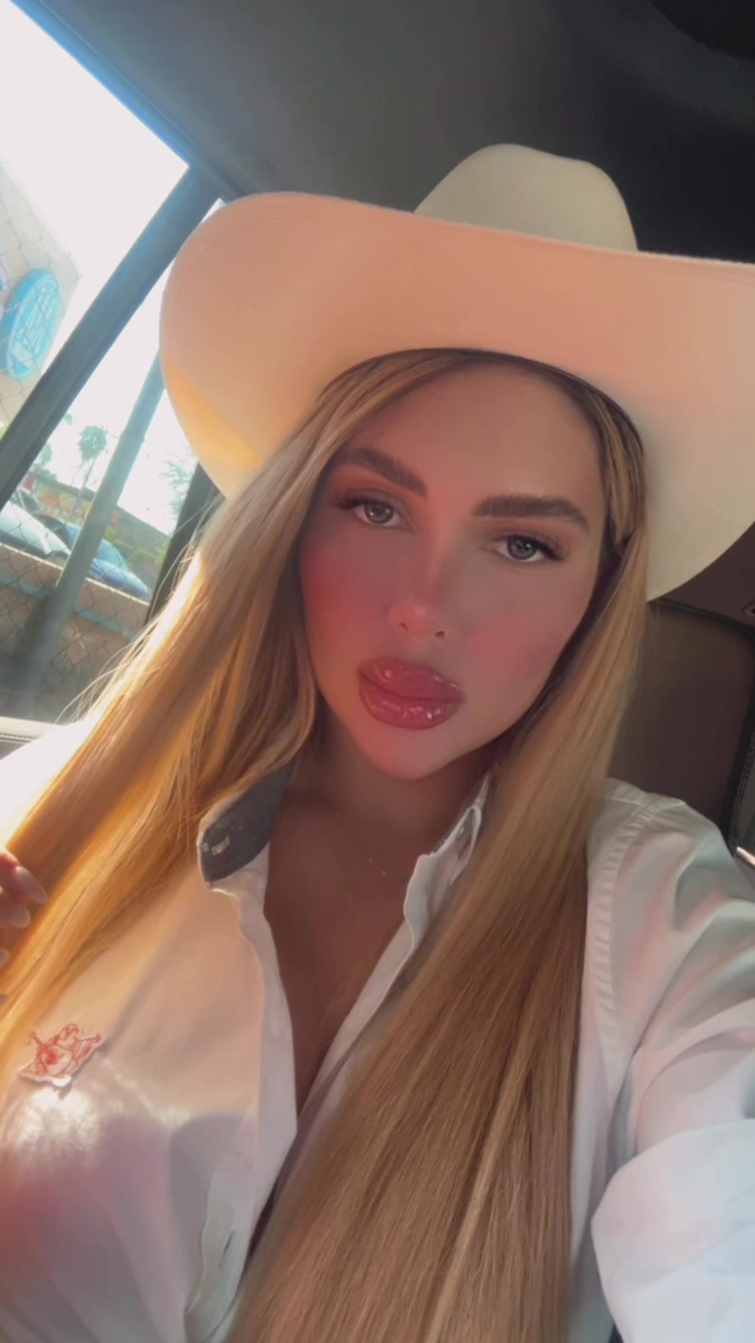 @dollche2020
