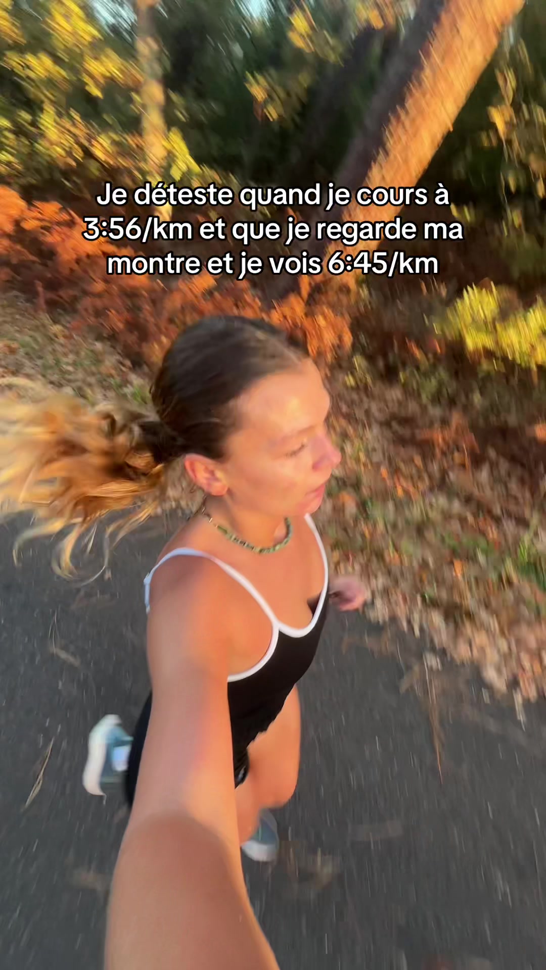 @labrisssse