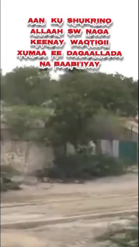 @Hagaha wanaagsan