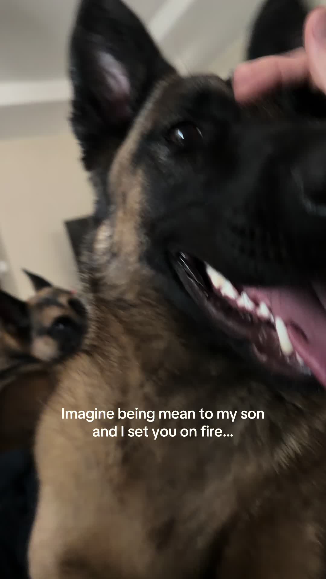 @Amber