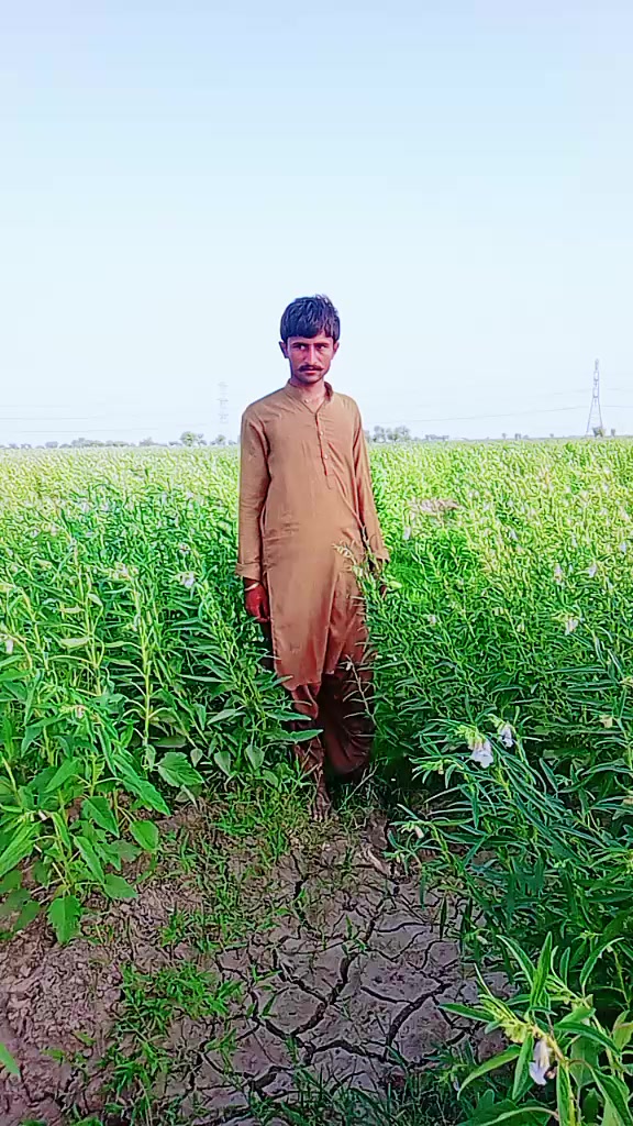 @Ali dost