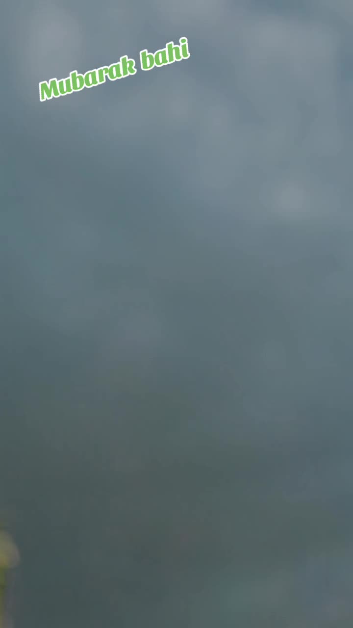 @𝘽𝙞𝙡𝙖𝙡-𝙎𝙖𝙚𝙚𝙙