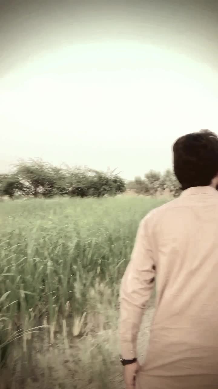@تسنیمی ،☠️