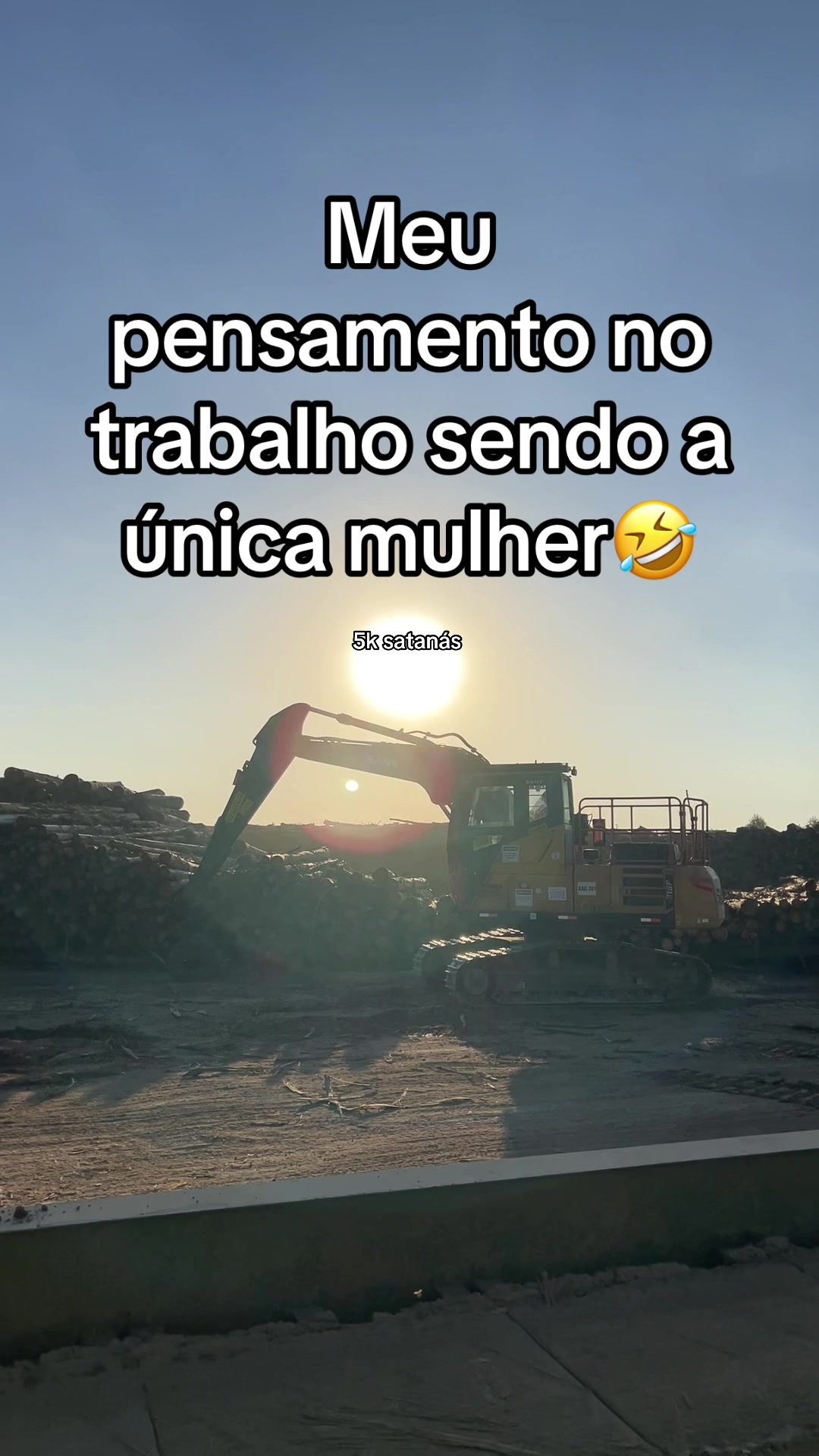 @vaulainecamargo