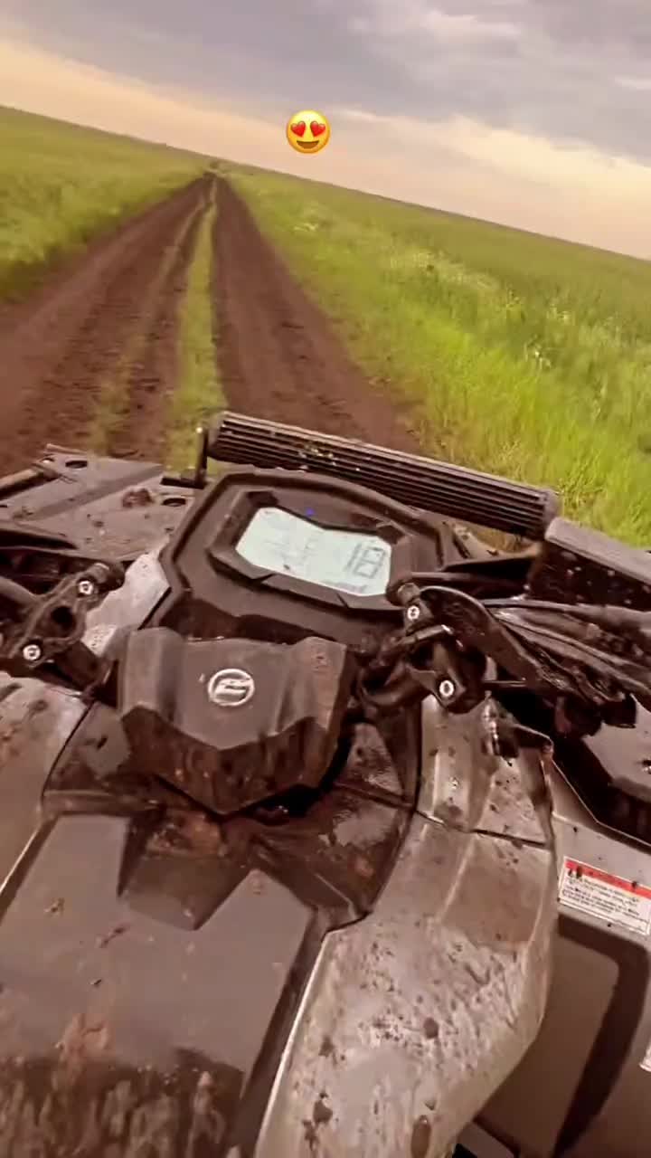 @Dom ✝️