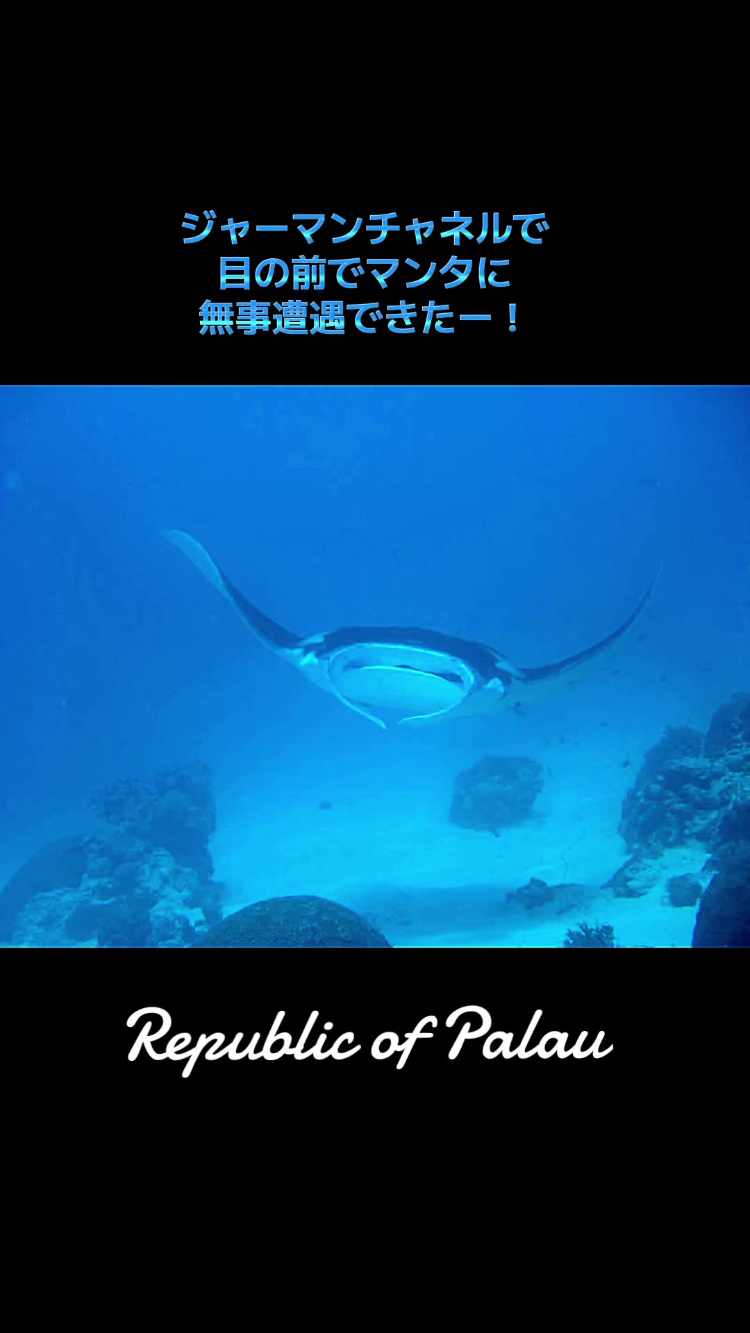 @❀さはな やーい❀(ちいかわ大好き)