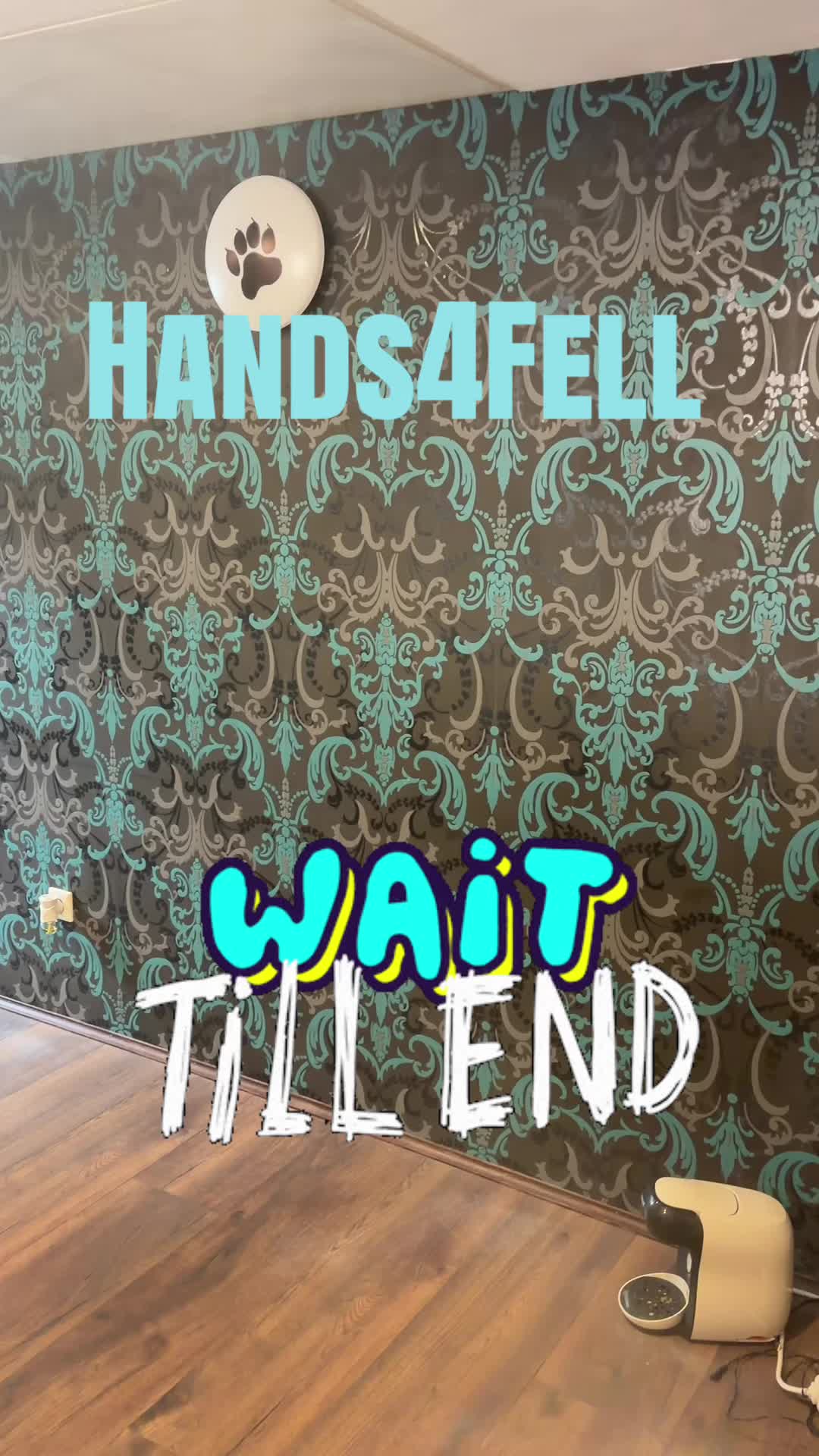 @Hands4Fell & YousPhotography