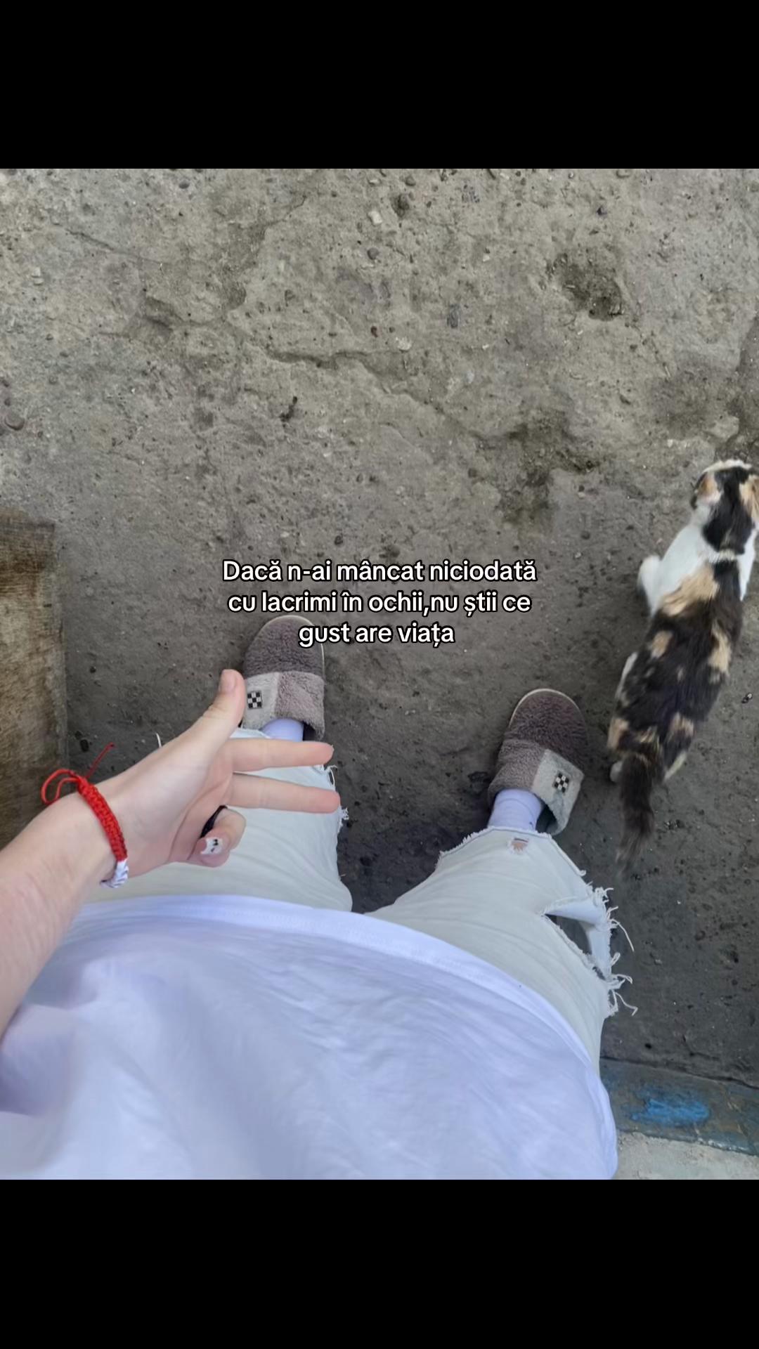 @xripqv5