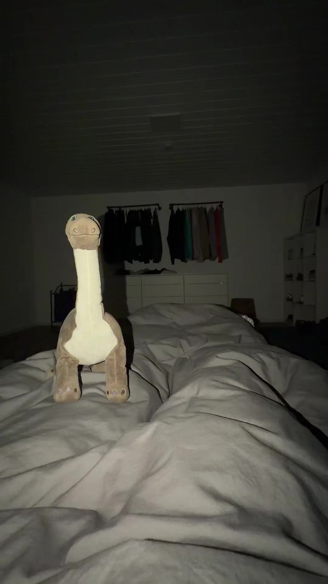 @Dinolino🦕