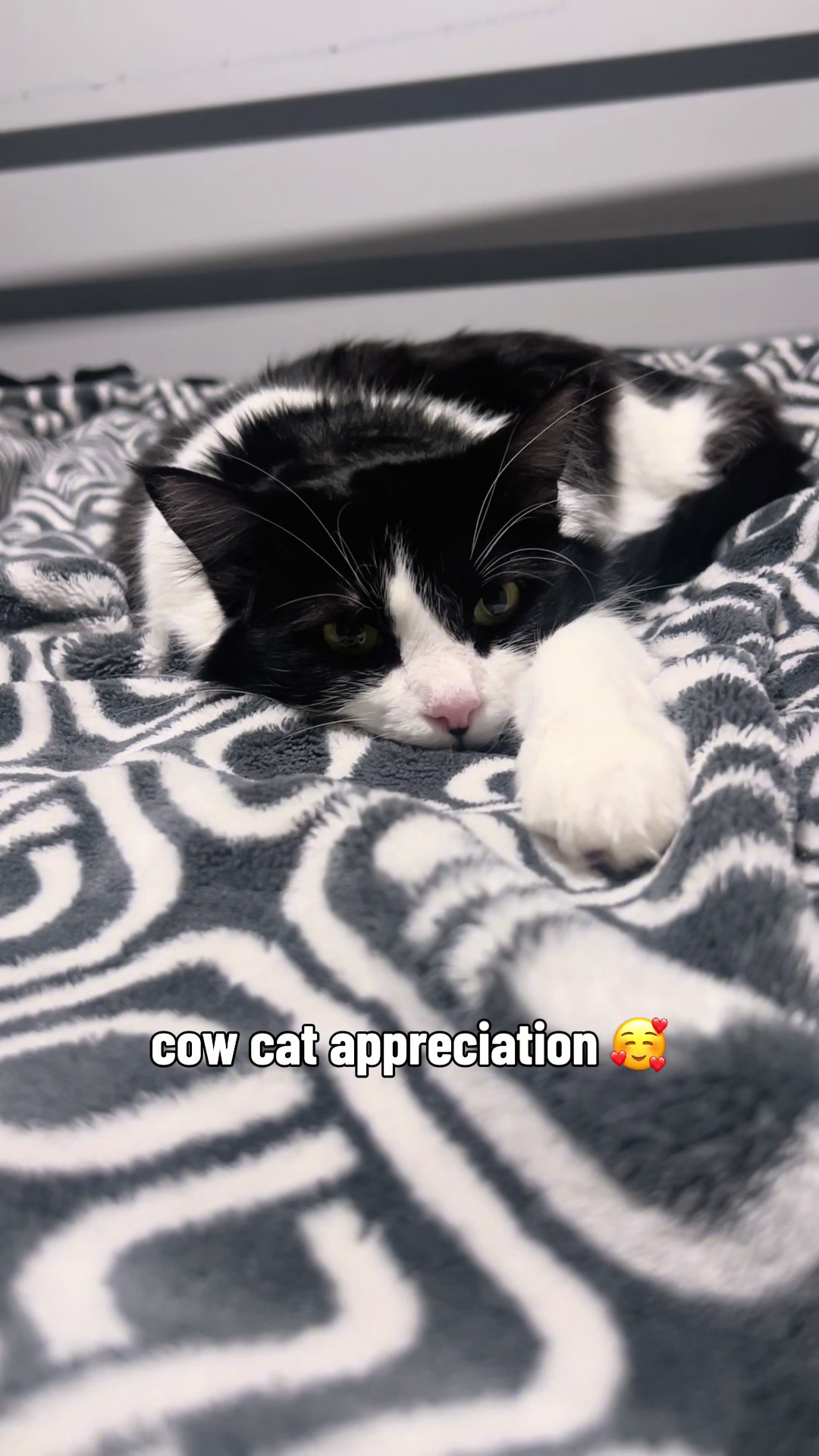 @Sunny☀️ @VeganSunny on YouTube