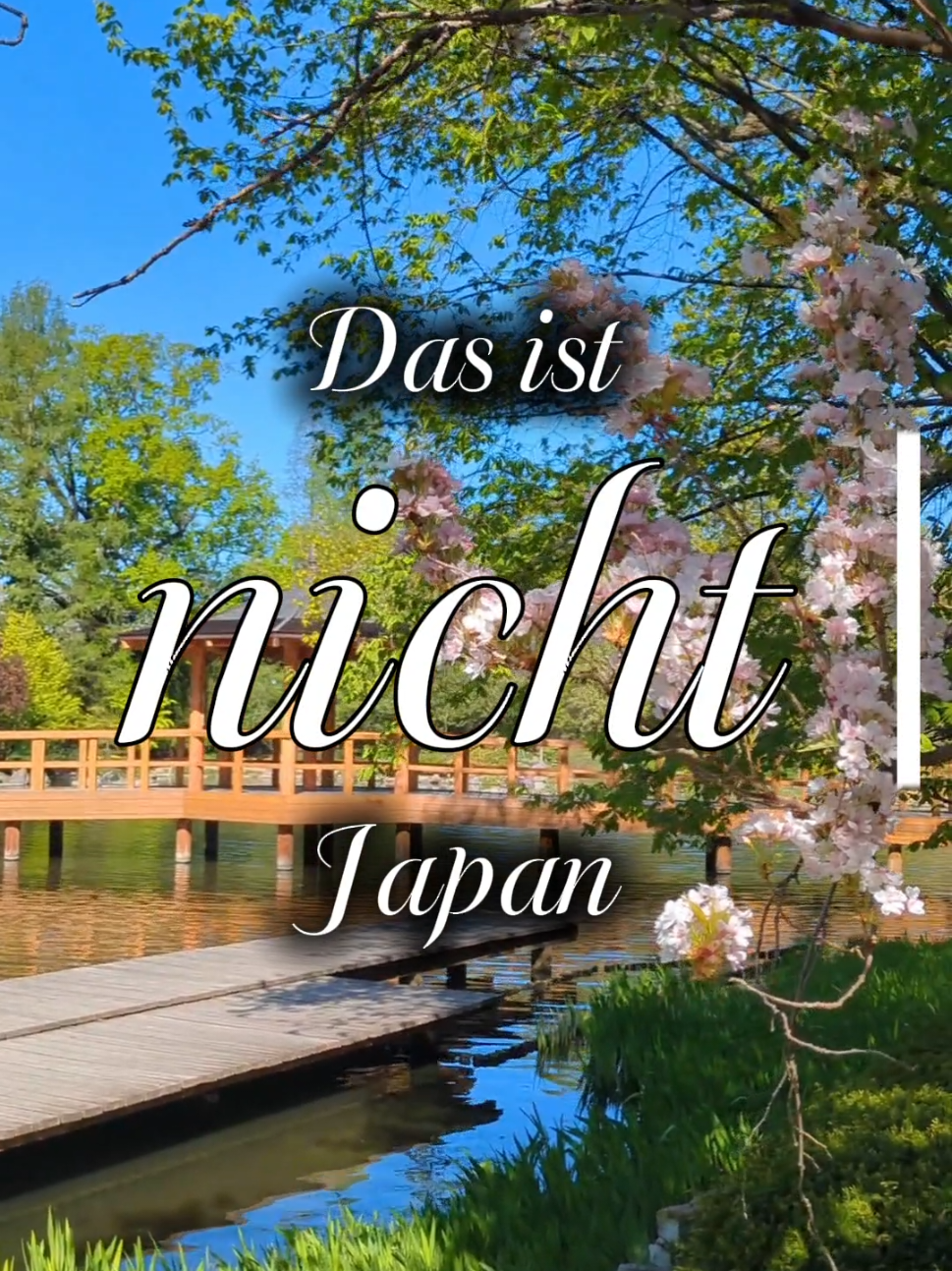 @Patrick | DINC in Japan 🇯🇵