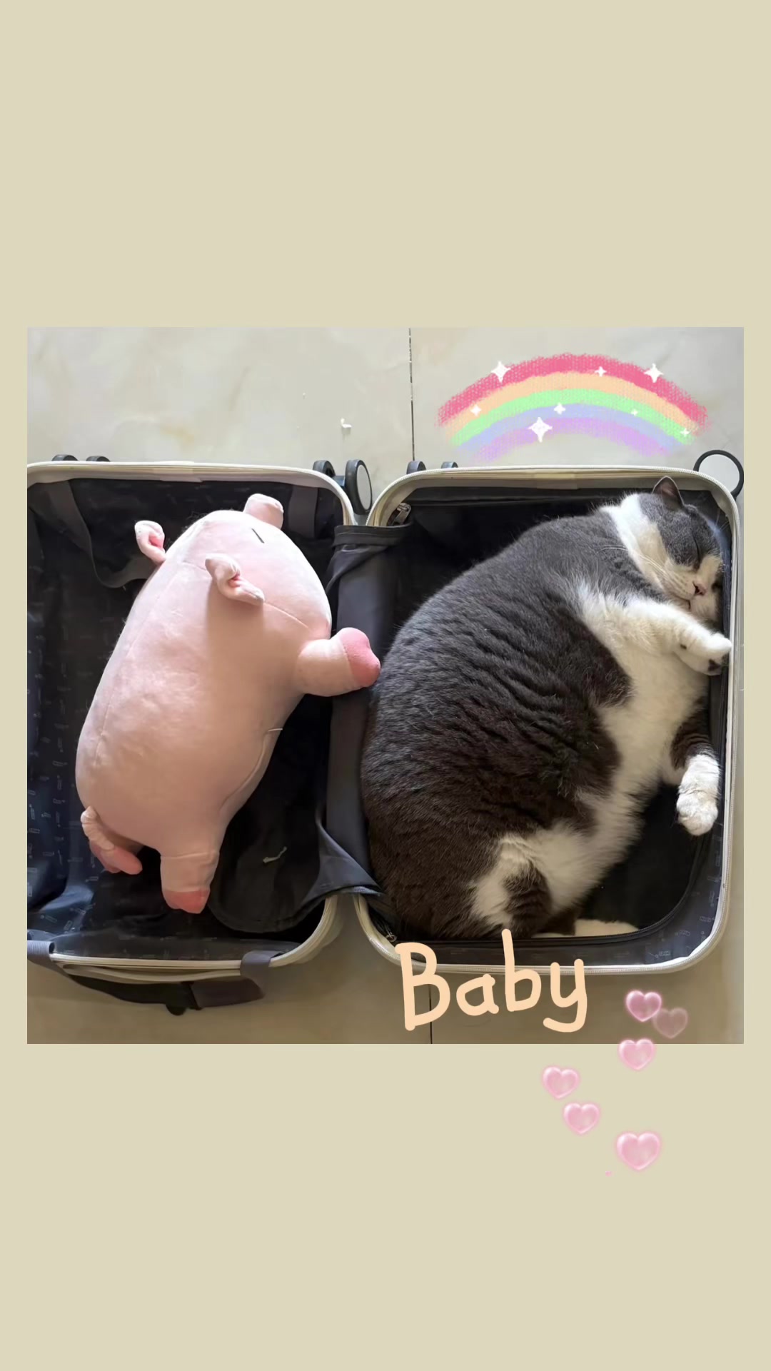 @Vitamin Meoww