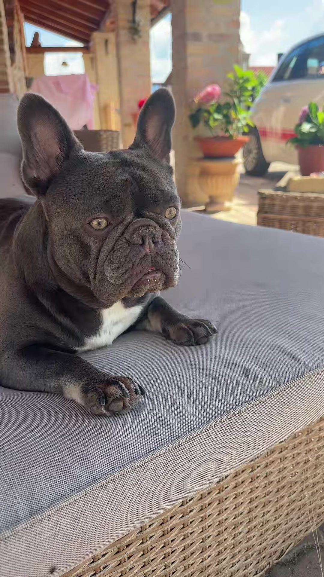 @👑Luigina baruffa princess👑