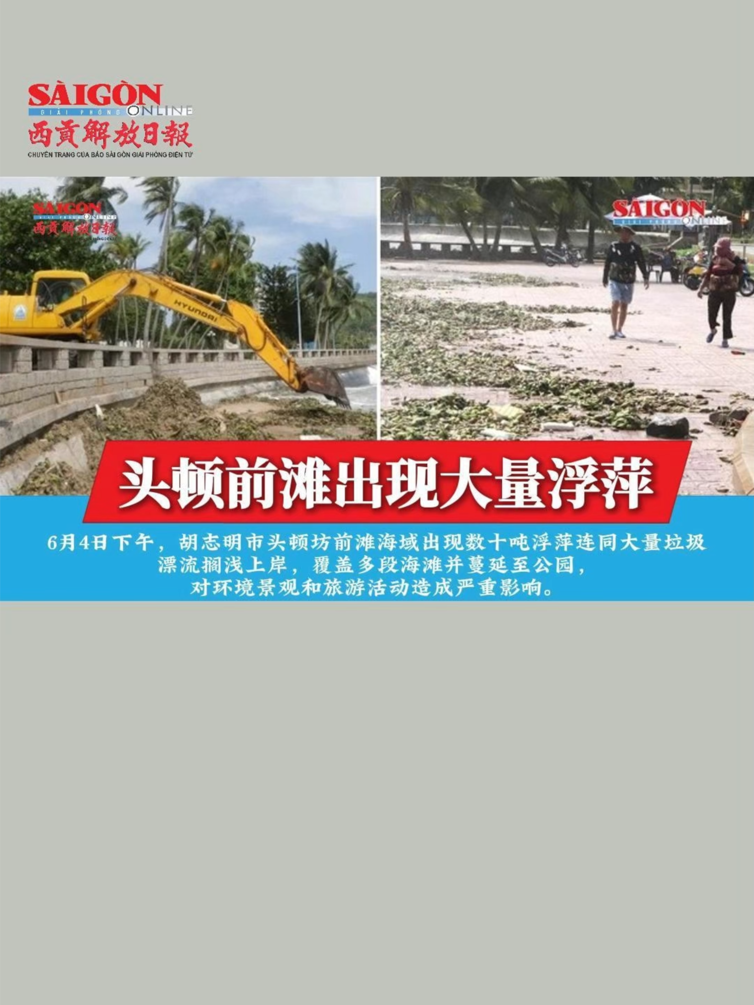 @西贡解放日报-B&aacute;o SGGP bản Hoa văn