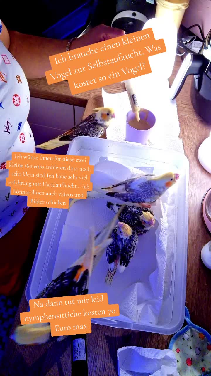 @LaBella 🐾 Tierparadies 🦜🦮🐶