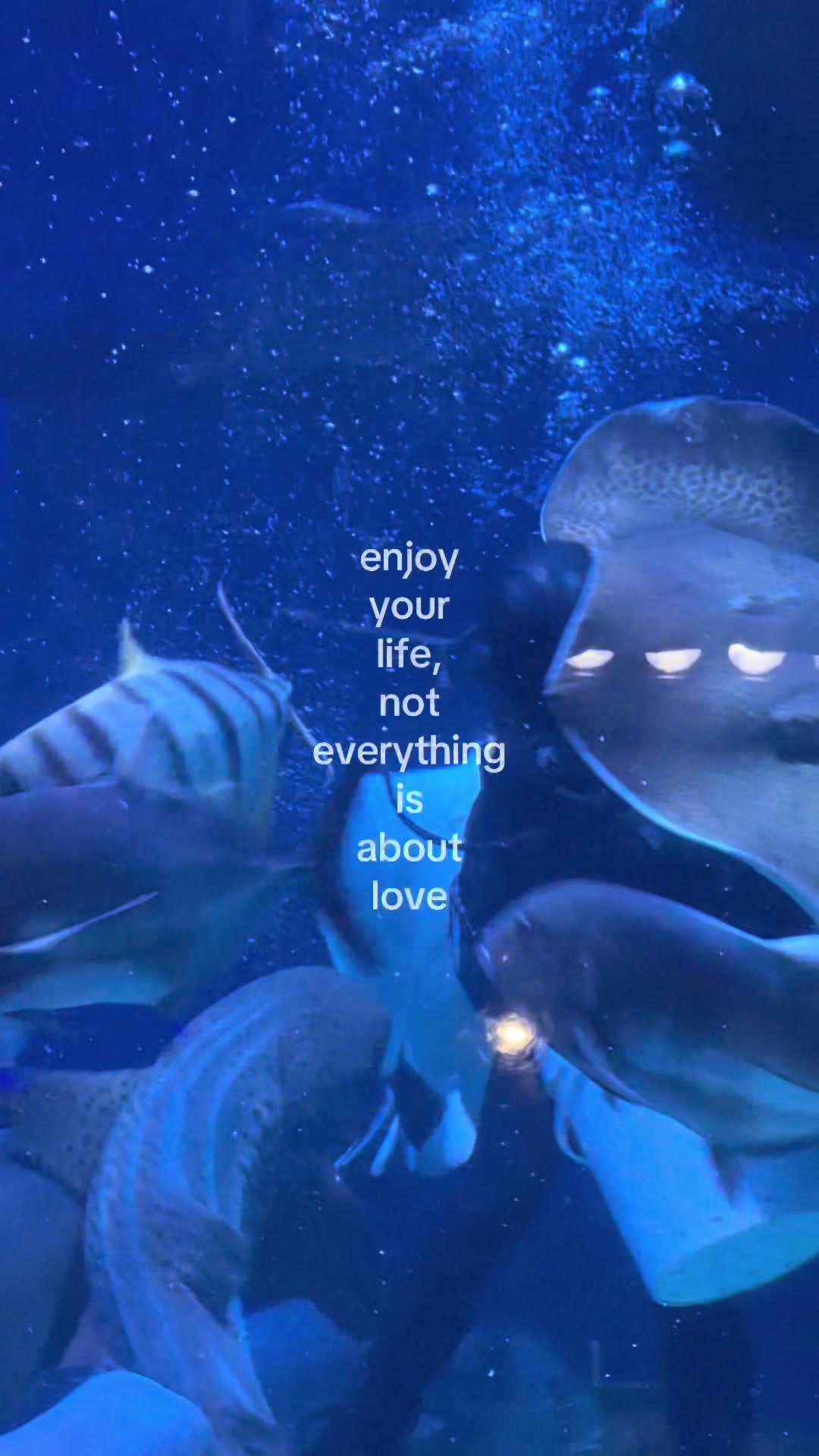 @something i couldn&rsquo;t say