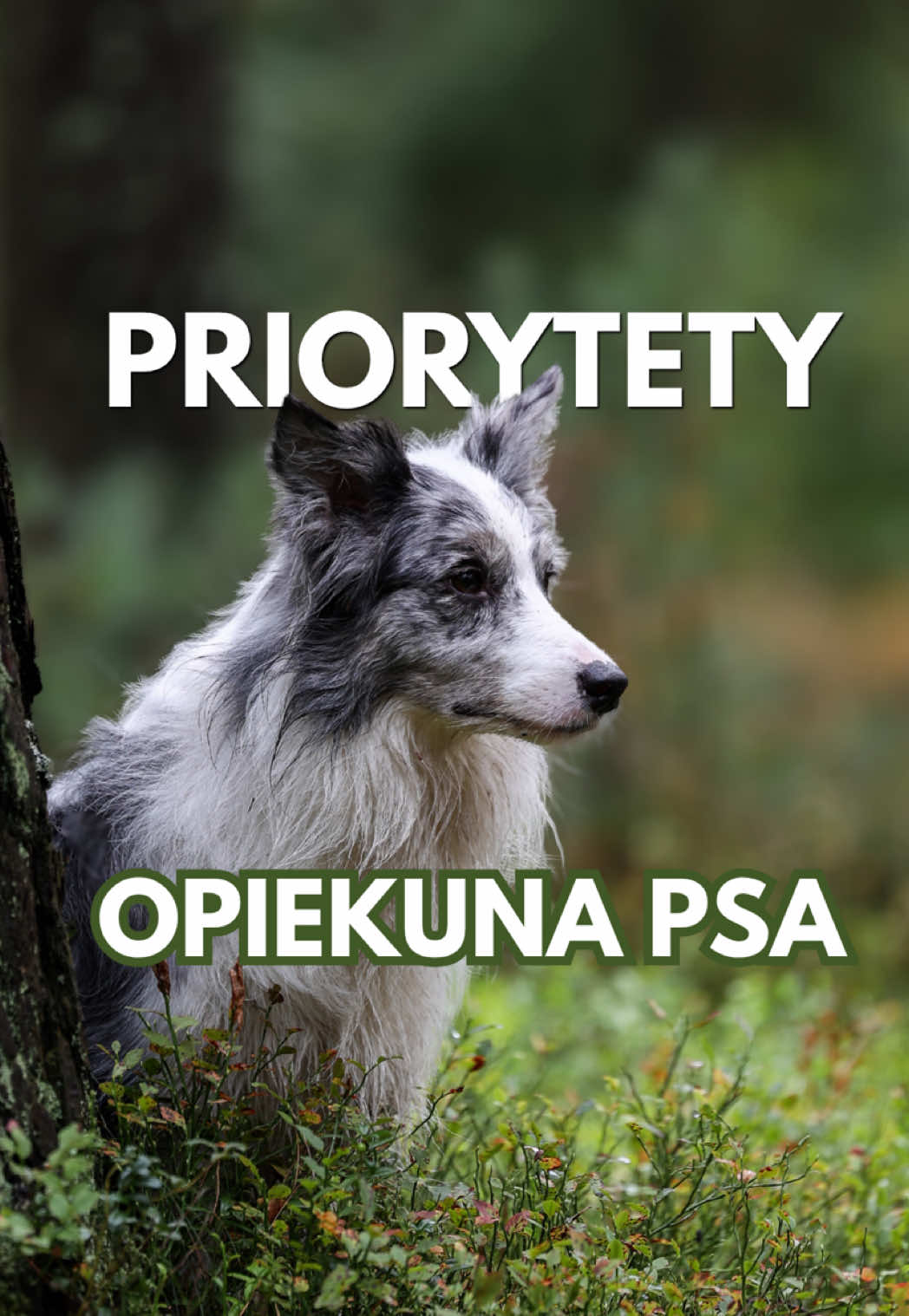 @Oliwia Kita