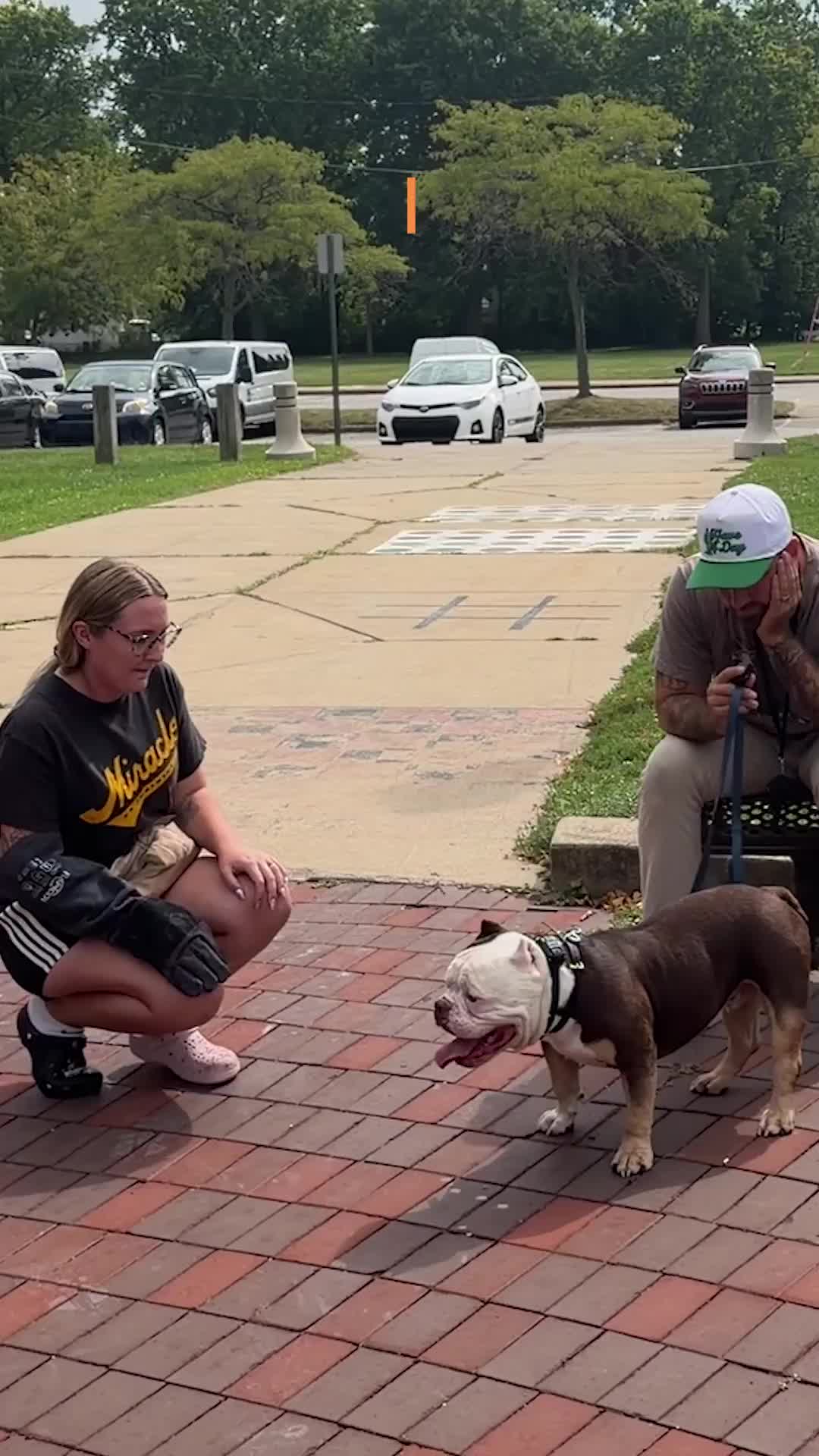 @Miracle K9 Training