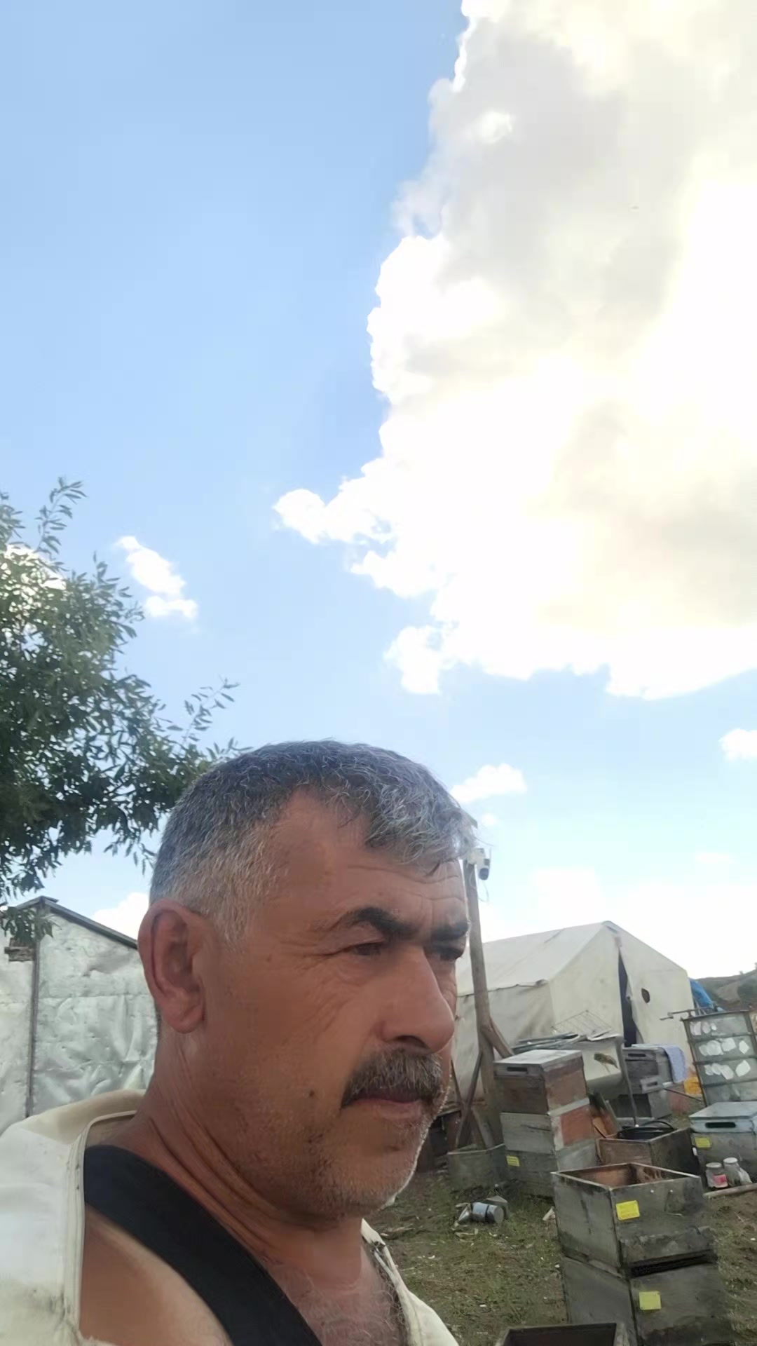 @Vural Demir