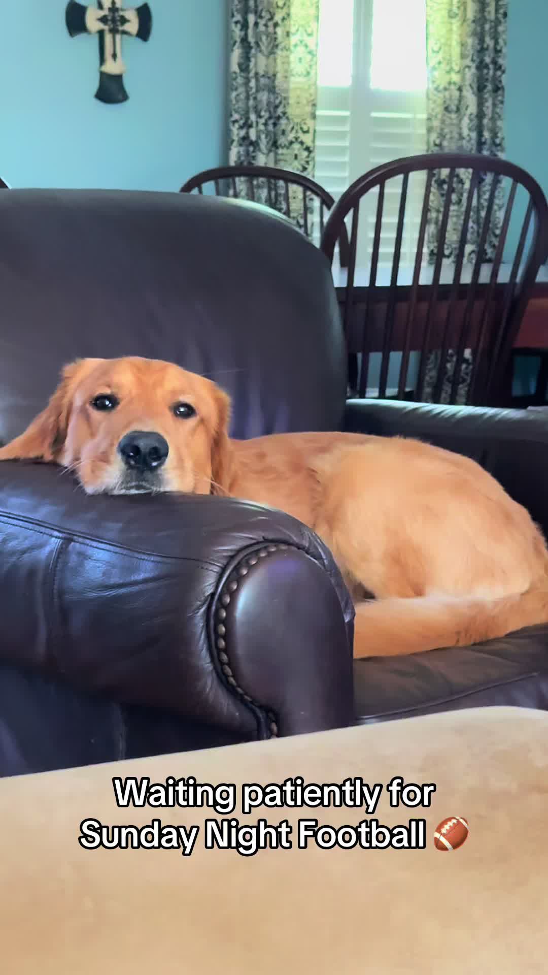 @Charlie the Golden