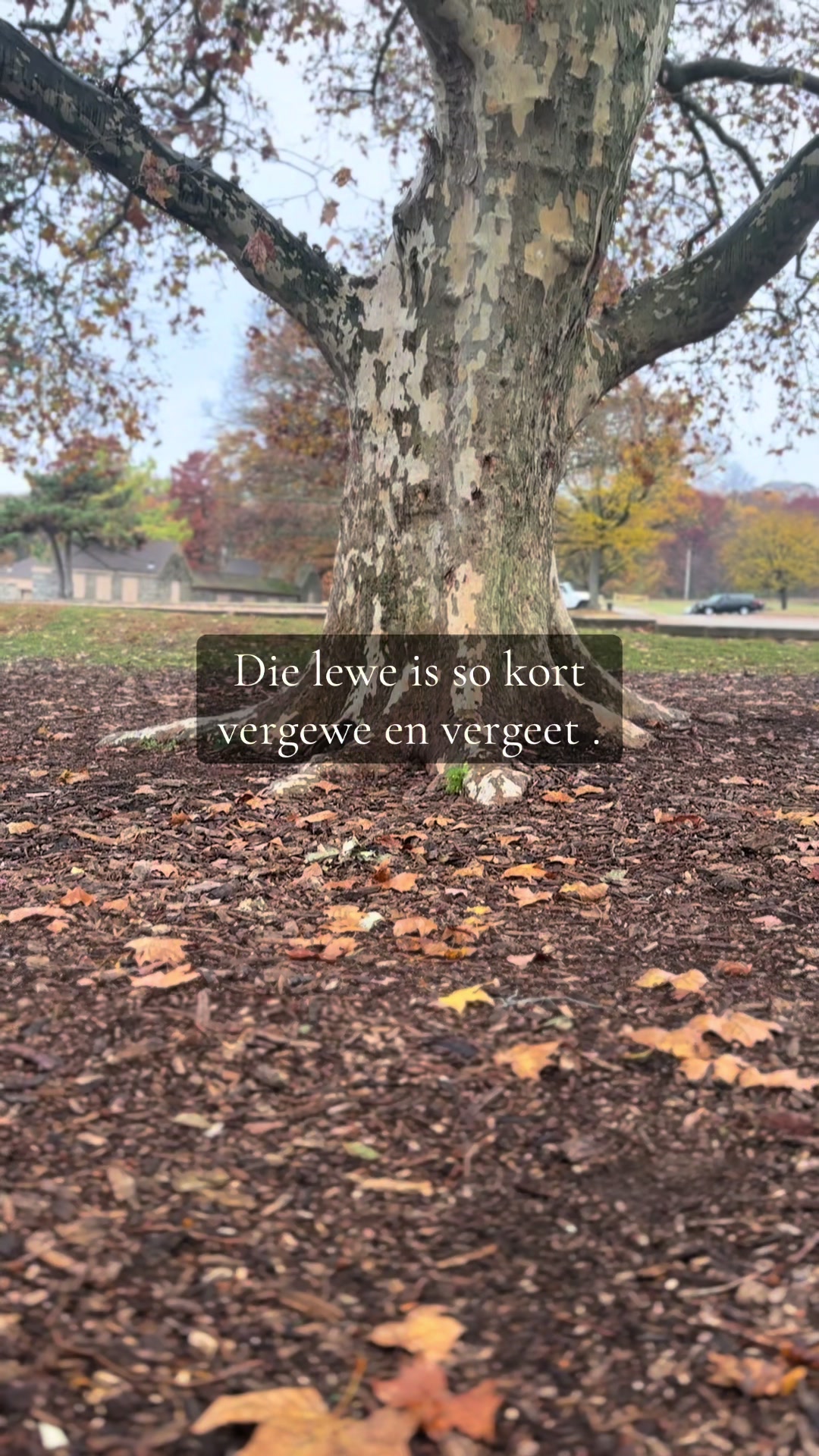 @Tinker🌸❤️