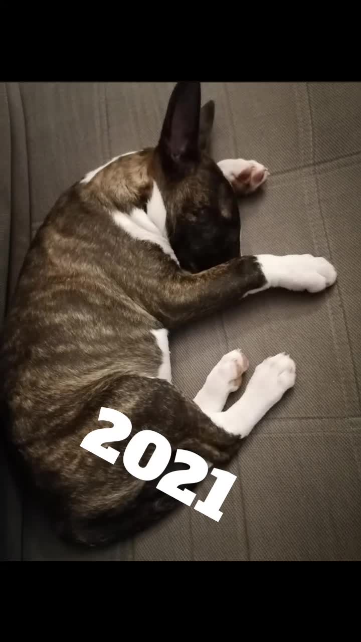 @Shelby_&_moi