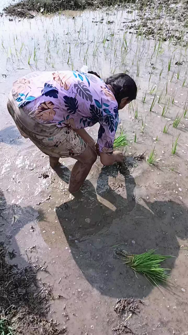 @shusilaregmi