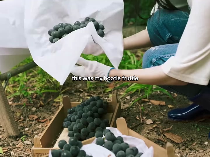 @Lana 🍓