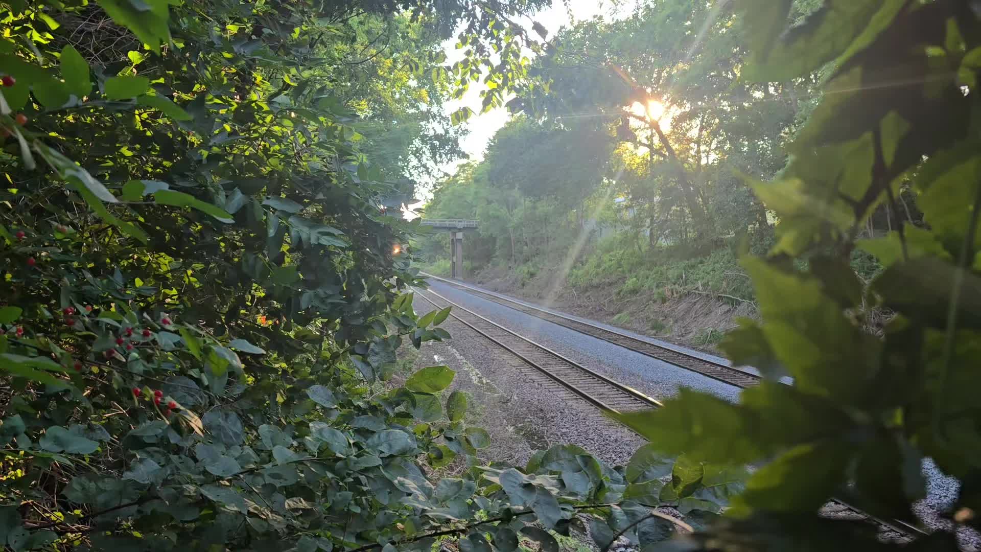 @Eastern Iowa by Rails📷🚂🚗