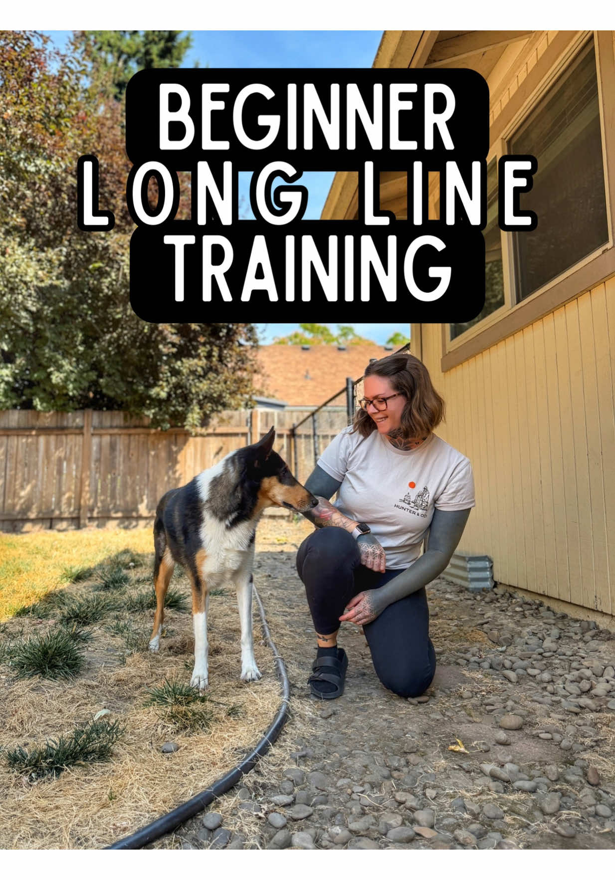 @lauren | dog behavior pro