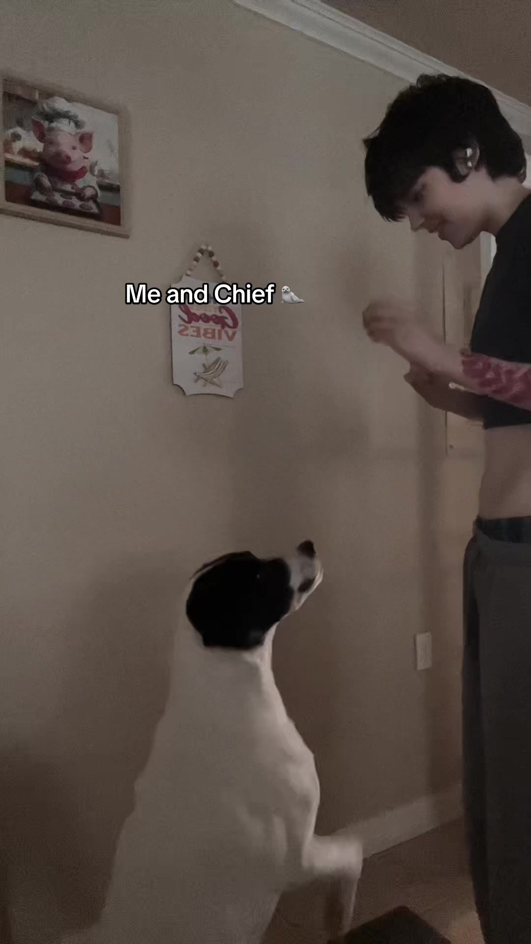 @Johnny