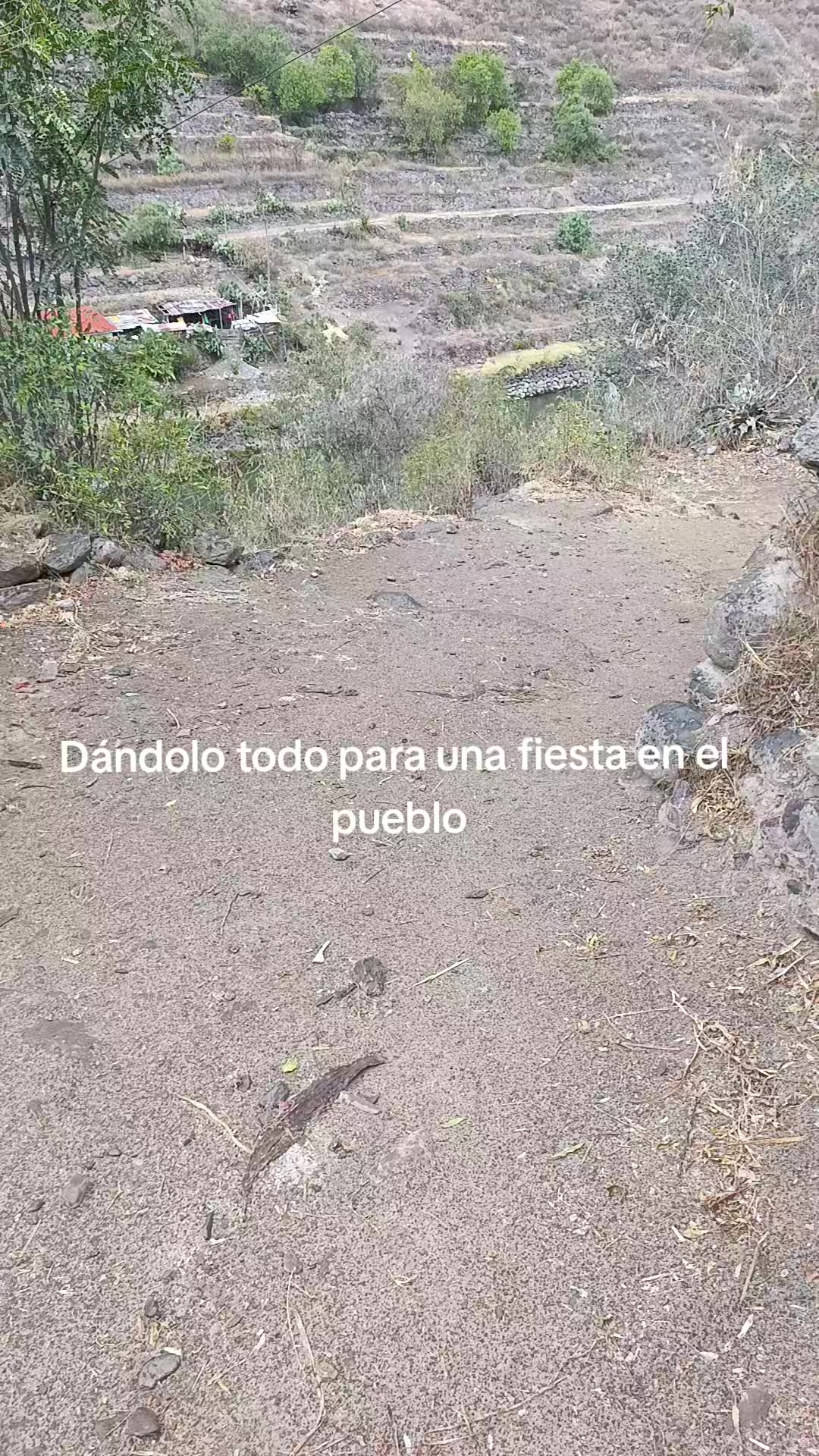 @Valeria L&oacute;pez 🩷