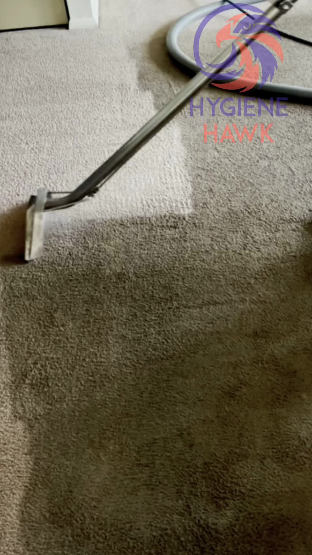 @hygienehawk
