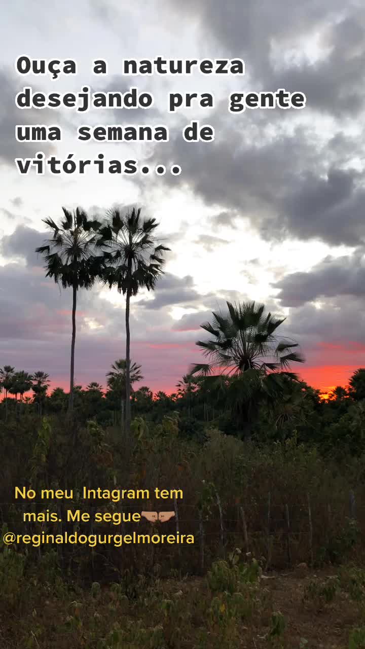 @Reginaldo G Moreira