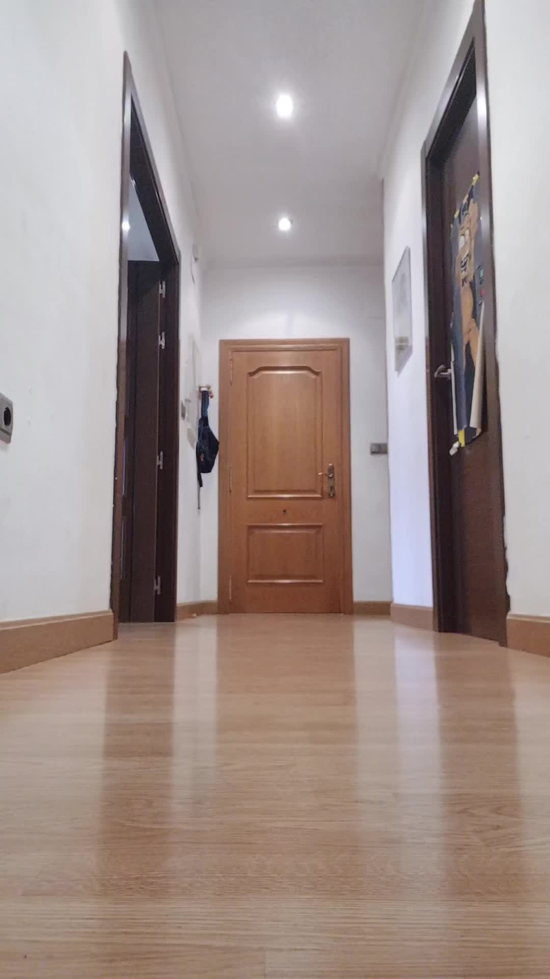 @로시오