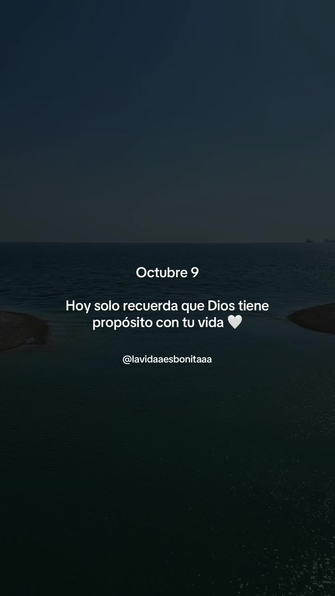 @vidabonita❤️&zwj;🩹